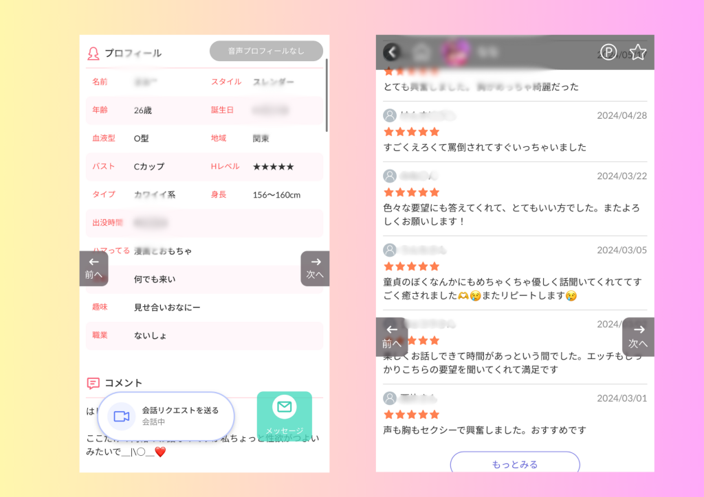 VI-VO　画像